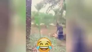 استاد نخل بریدن😂😂😂😂