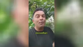 شاد باش
