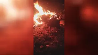 چهارشنبه سوری