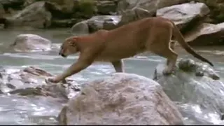 تلاش وامید