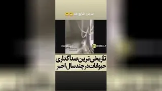 تو باش دیگ مسخره نکنی😂