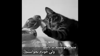 بدون شرح...