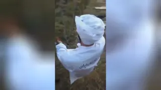 عجایب
