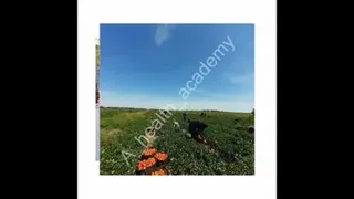 سلامتی با فرکانس بالا جذب میشود
