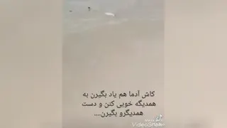 هم دلی