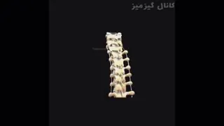 استخوان های بدن