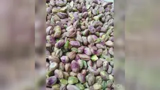 فروش انواع پسته و مغز رفسنجان