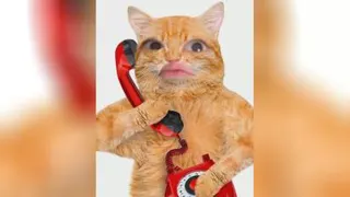 خیلی بچه شیکو با صفایی 😂