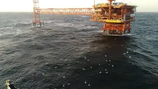 سکوی گازی 14D در میدان گازی پارس جنوبی