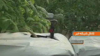 سازه گلخانه در ایران