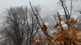 طبیعت کوهرنگ بختیاری