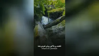 انگیزشی
