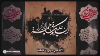 میثم مطیعی 4