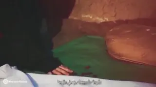 میثم مطیعی