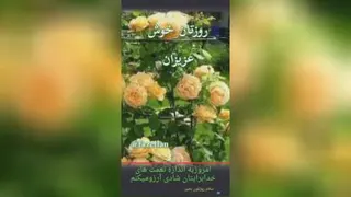 انگیزشی