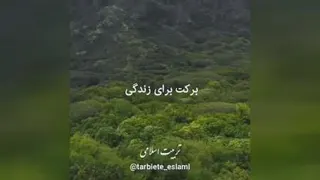صدقه دادن برای امام زمان