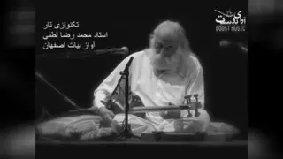 استاد لطفی