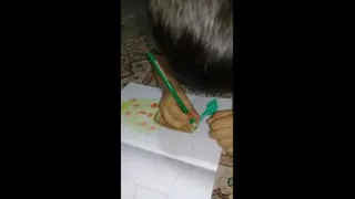 نقاشی استادانه!