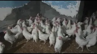 اشتغال زایی