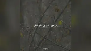 نگرشی