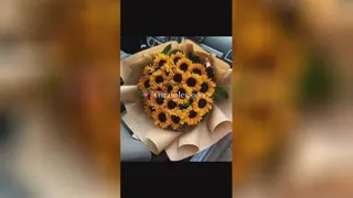 گل آفتابگردان