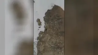 هدف زندگی