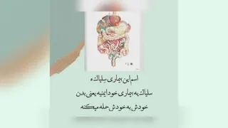 مواد غذایی
