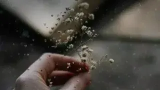 راغب