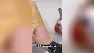 🐕سگ بازیگوش