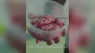 عشق❤❤