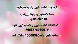 پیش دبستانی مهد طیب