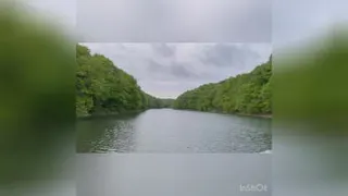 طبیعت