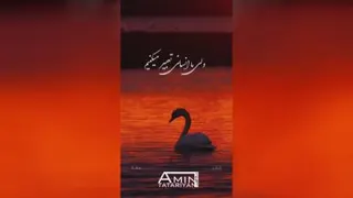 قو هیجان شگفت نگیز