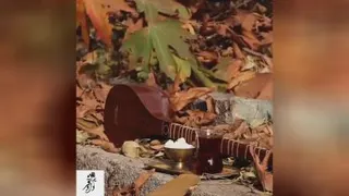 دلم میخواد....