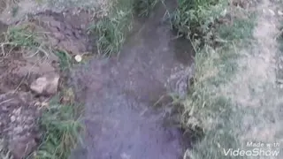 طبیعت زیبای روستای اسفرق زیرکوه
