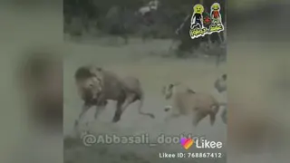 کلیپ طنز شکست عشقی پسرا