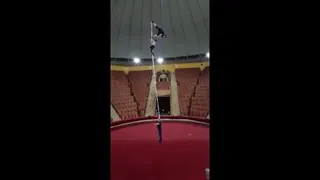 تفاوت در ورزش و هنر