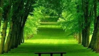 طبیعت