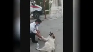 انسانیت