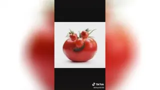 عزمت خدا
