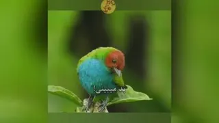 ظلم نکن.از هر دست بدی، از همون دست پس میگیری..! .