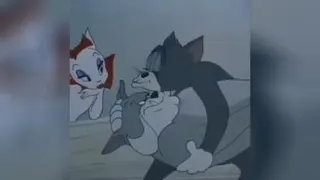 و بازم موش و گربه...😂