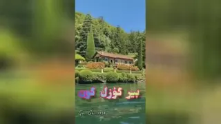 ویدیو