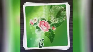 میلاد امیرالمومنین علیه السلام