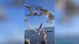 خدای بزرگ