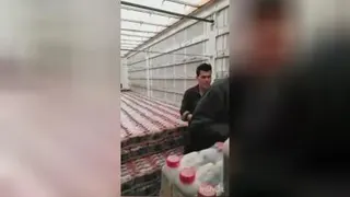 صادرات شیره خرما و انگور به سوریه