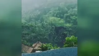 بارونه