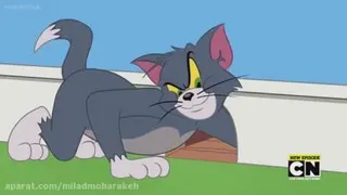 تام وجری