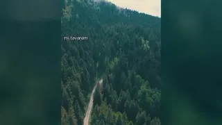 فکر منفی