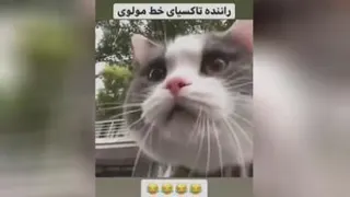 فیلم طنز